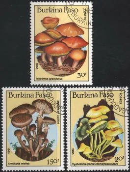 3 бр./компл. Пощенски Марки Буркина Фасо 1985 Гъба се Използва Пощенска Маркиране на Пощенски Марки за Събиране на