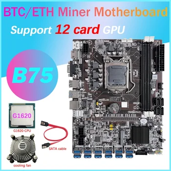 B75 12 Карта на GPU БТК дънна Платка за майнинга + процесор G1620 + Fan охлаждане + Кабел SATA Слот 12XUSB3.0 LGA1155 DDR3 Оперативна памет, MSATA ETH Миньор