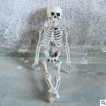Активен Модел на човешкия скелет Анатомия на Скелета Модел на Скелета Медицинско Обучение Украса За Парти На Хелоуин Скица на Скелета