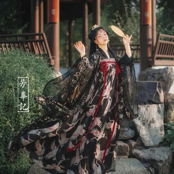 Оригинални Китайски Традиционен Черен Госпожица Принт Hanfu Рокли Костюм На Жената Принцеса На Династия Хан Cosplay Етап Костюми