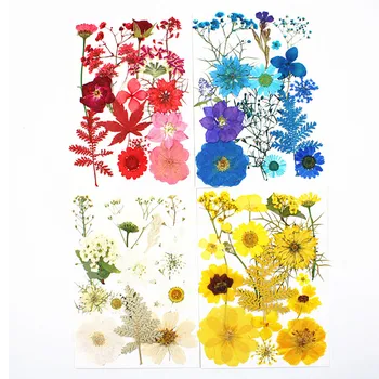 Смесени 15 Различни Пресовани Цветя Работи За Декорация на Картички-Маркиране на 5 торби
